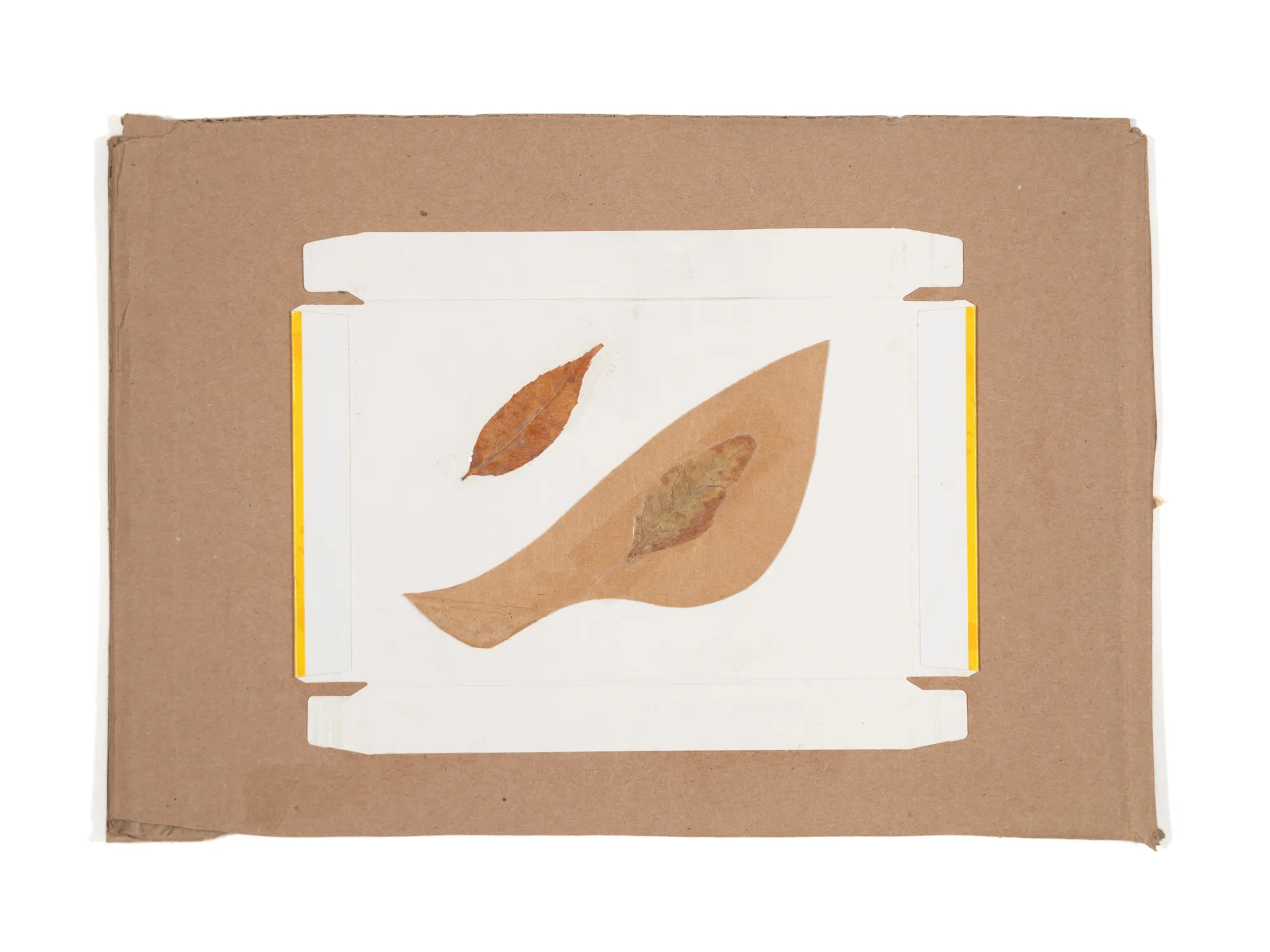 Cardboard XS 034 — Leaf, Jucy Fresh box, Pure Delite