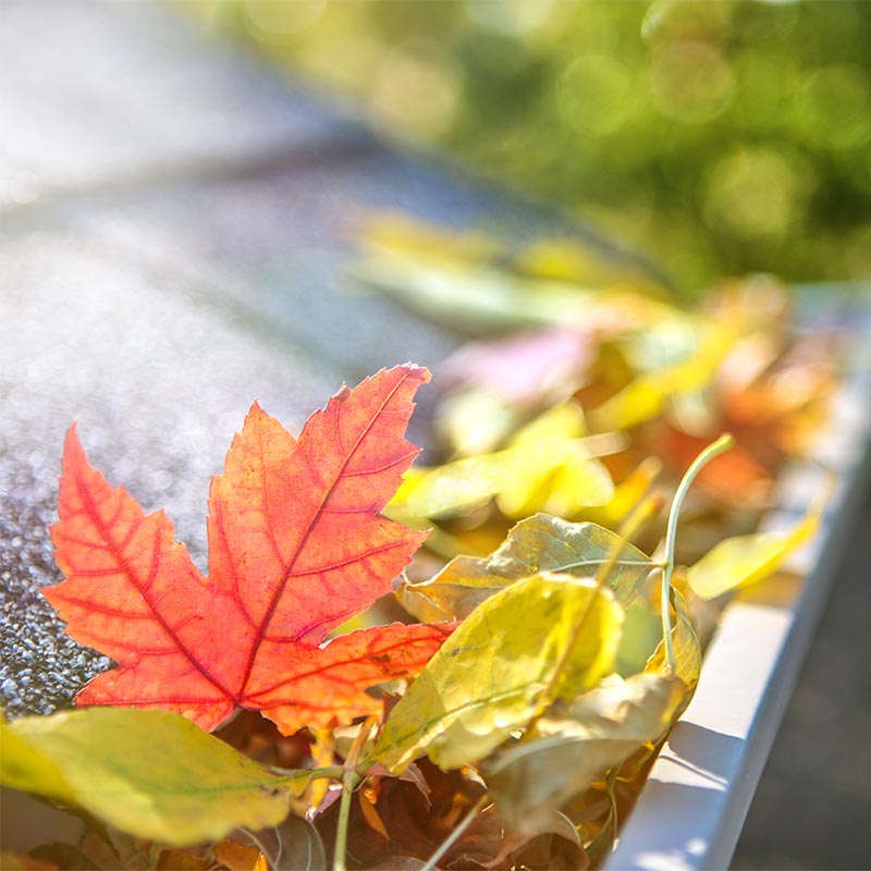 Gutter cleaning in Indianapolis, FL