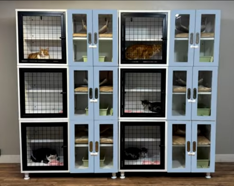 Cat boarding kennels.
