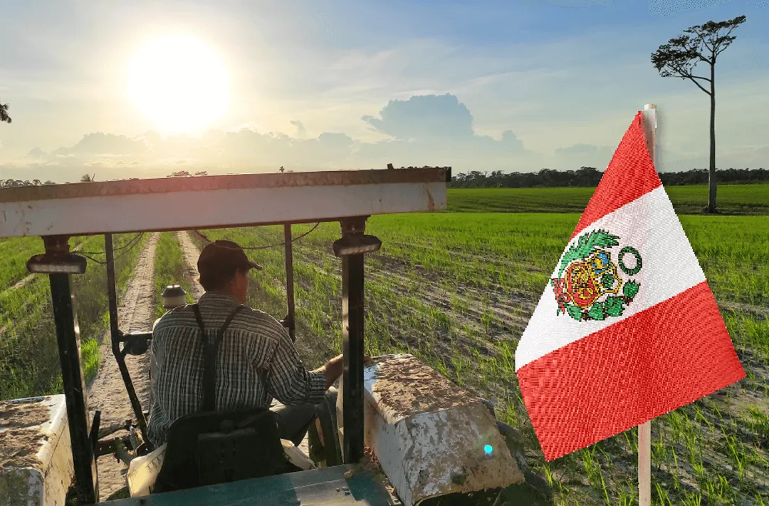 Imagen de campo de agricultura