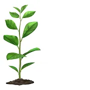 Imagen de planta