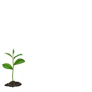 Imagen de planta