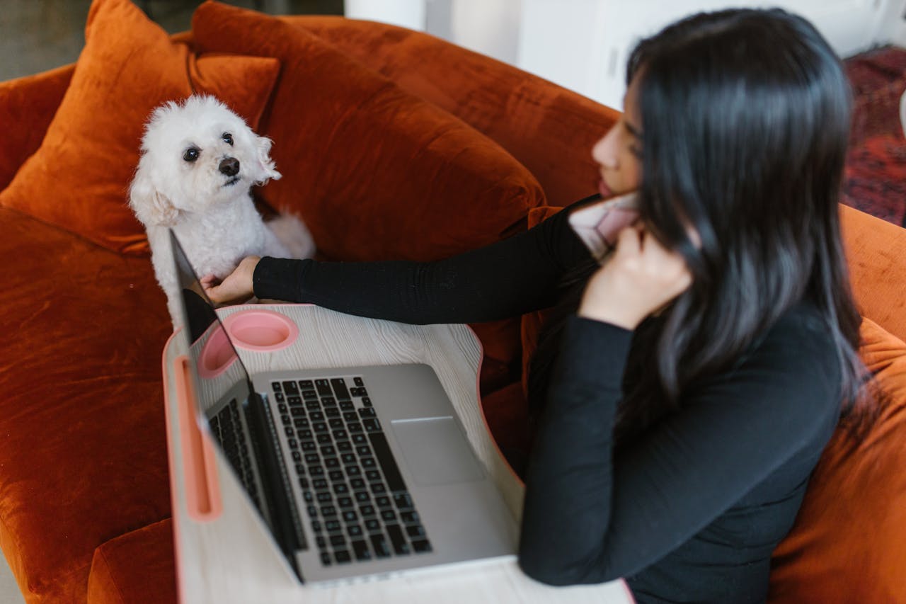 Client scheduling complimentary meet & greet with Shore Stay Pet Care in Ocean County