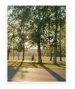 An artist's impression of a resident biking along a tree-lined path in Gurner Grove Estate’s park, capturing the vibrant outdoor lifestyle of Austral, NSW during golden hour with sunlight filtering through tall trees.