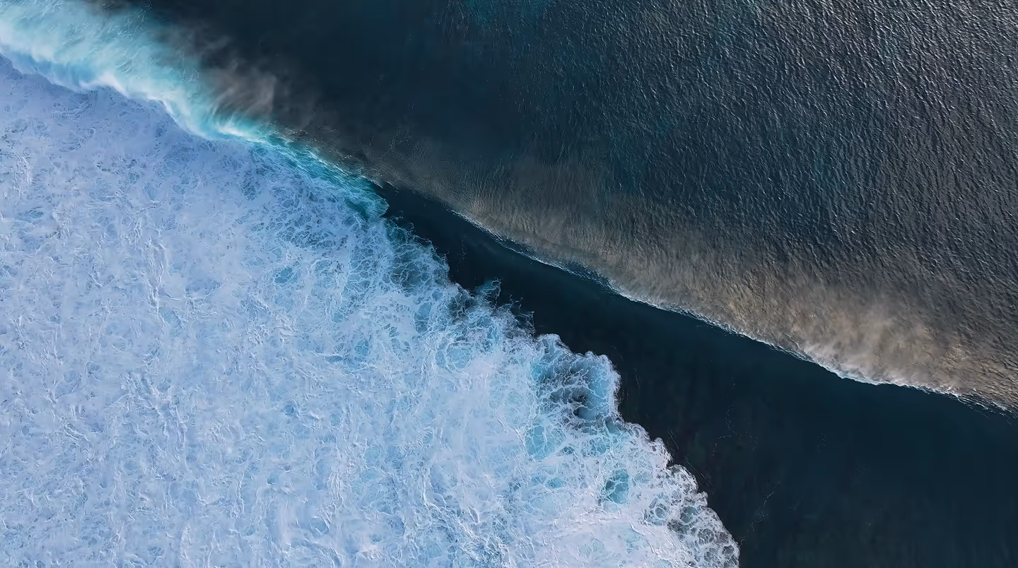 B2B programmatic advertising and media buying solutions for agencies — signal-driven media orchestration platform