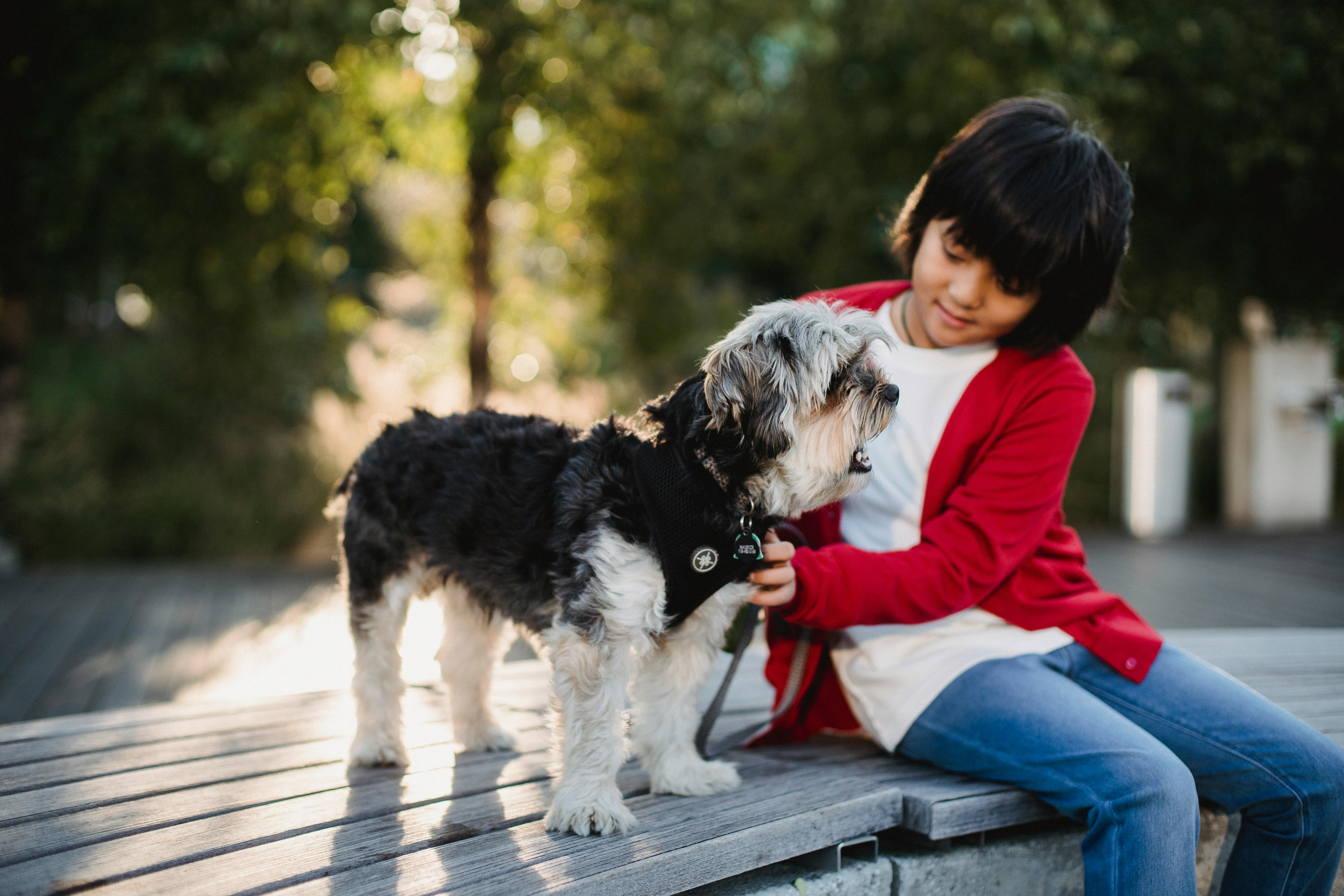 Child sitting on bench with dog