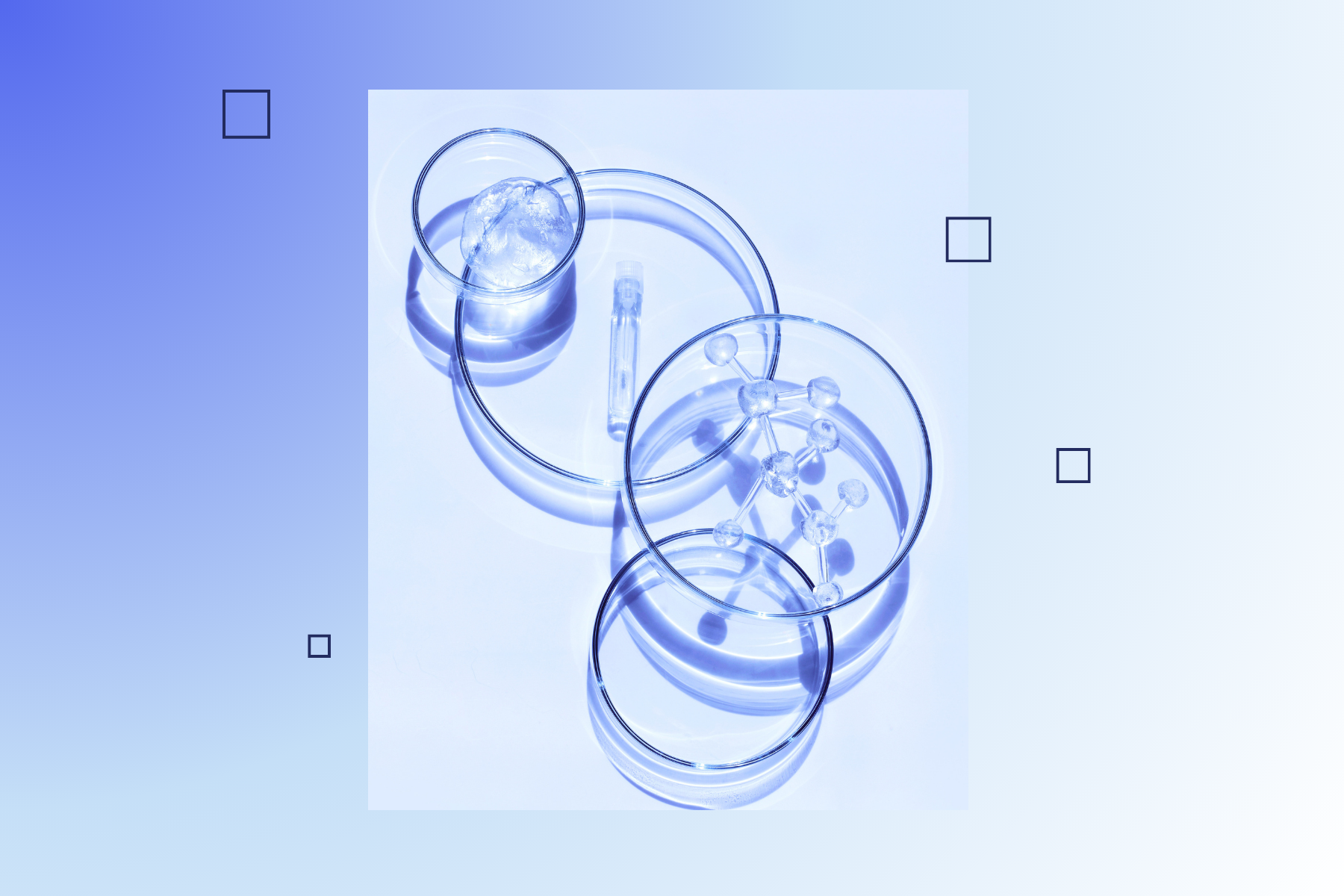 Clear petri dishes, a small vial, and a glass molecular model arranged on a bright blue surface with soft shadows for a clean scientific look.