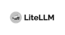 LiteLLM