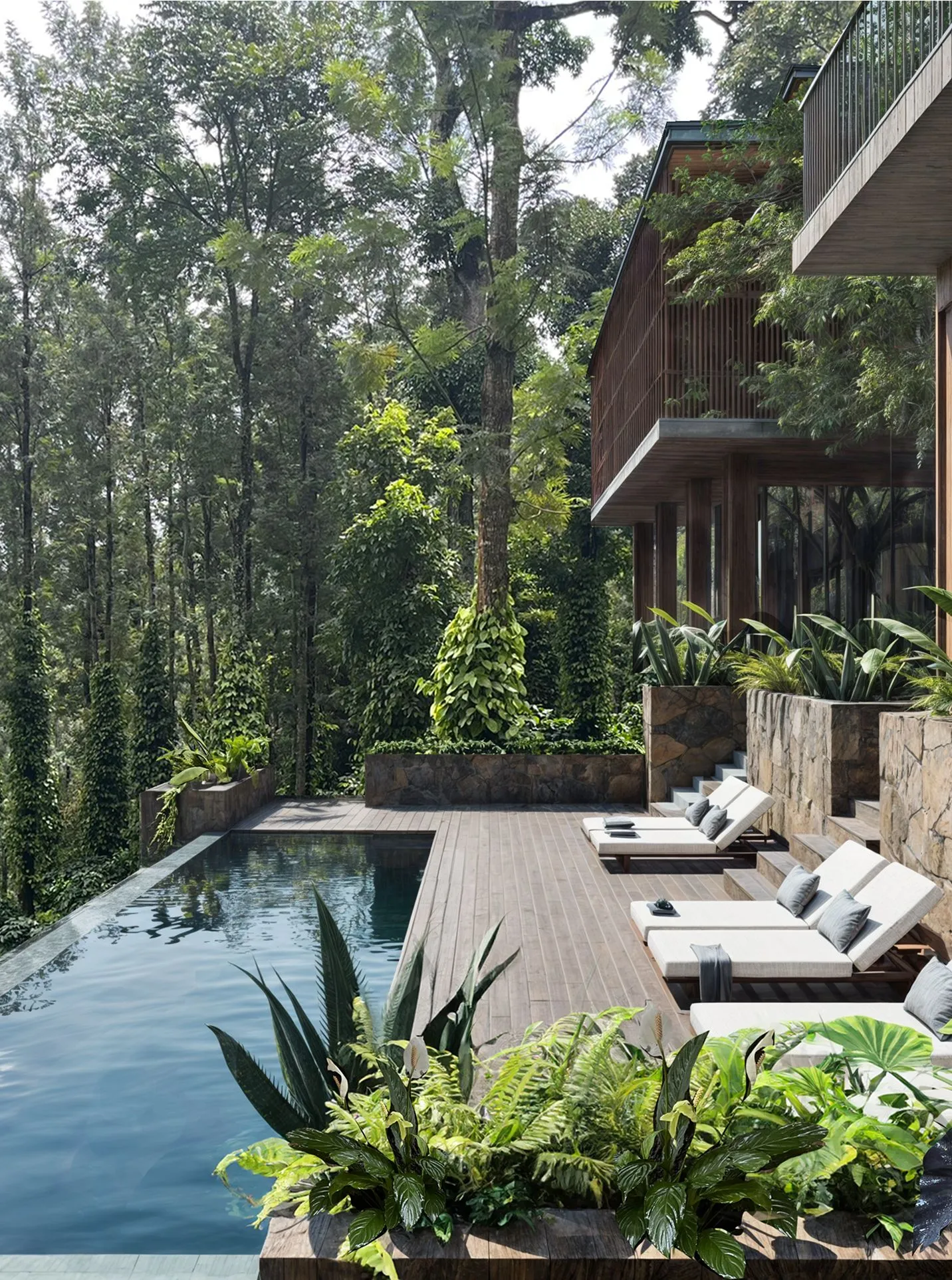 Modern wooden deck with cushioned lounge chairs next to a rectangular pool surrounded by lush green forest.