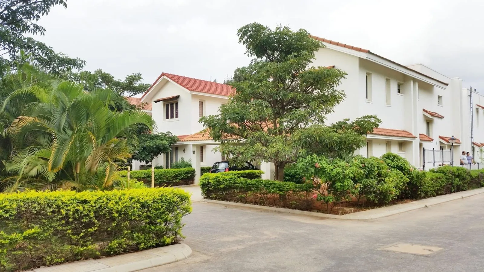 Residential street with white two-story houses featuring red tile roofs and surrounded by green shrubs and trees.