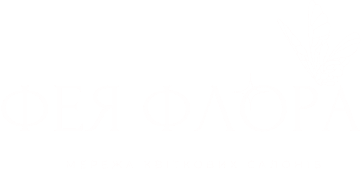  cases vox