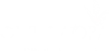  cases vox