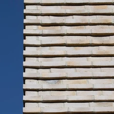 untitled image
