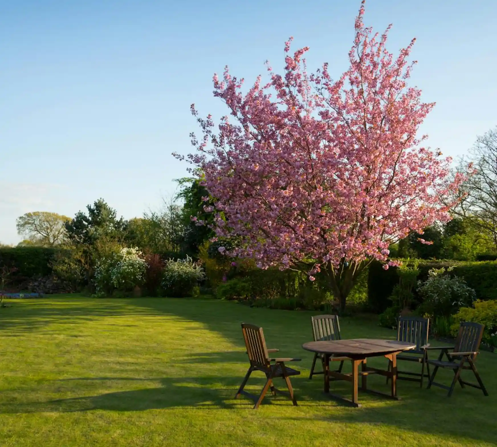 A table and chairs in the grass under a tree.