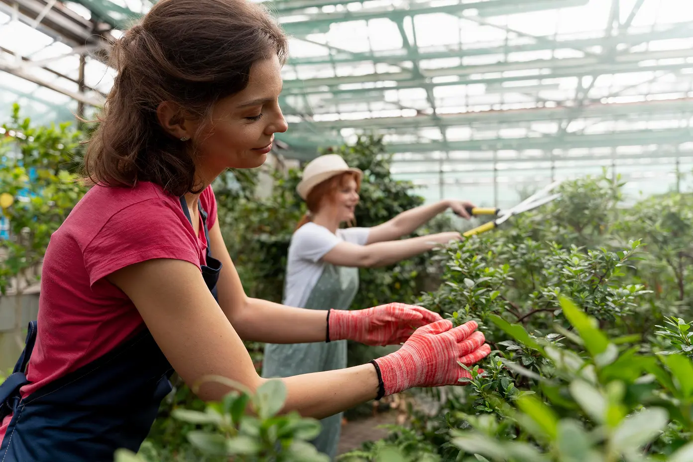 horticulture owner