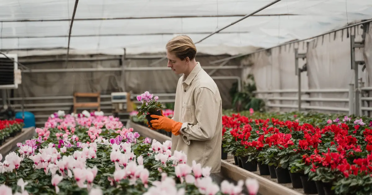 flower owner horticulture