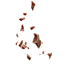 Éclats de chocolat noir artisanal – La femme Chocolat