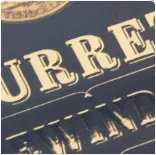 Raised foil thumbnail