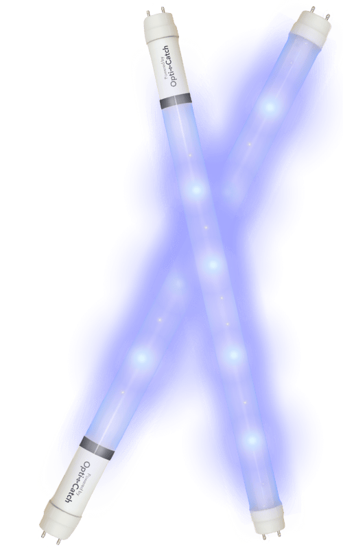 two lamps on glowing blue in a x shape