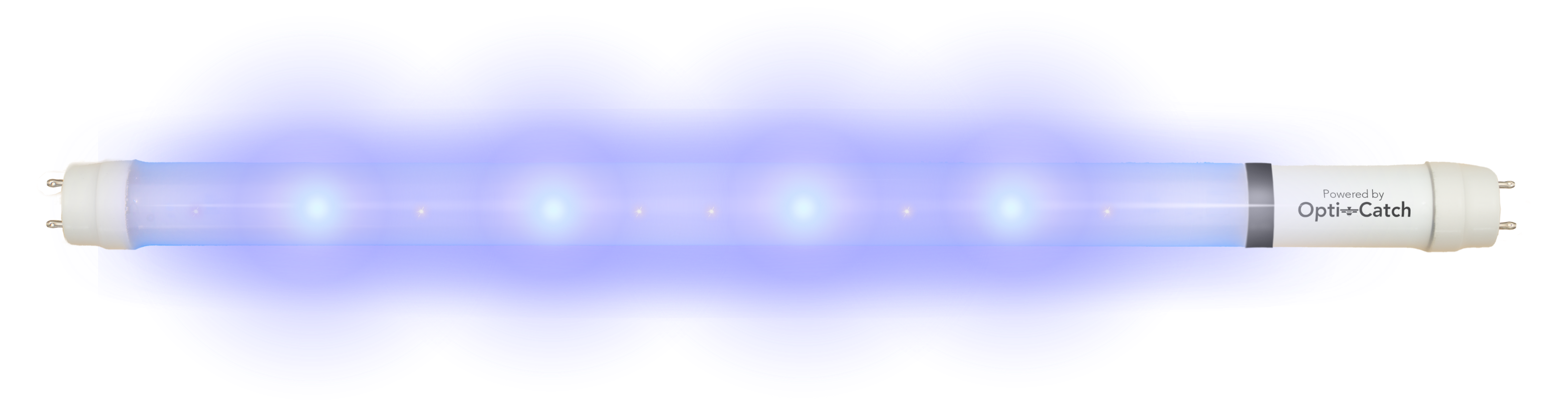 large version of the on lamp glowing blue
