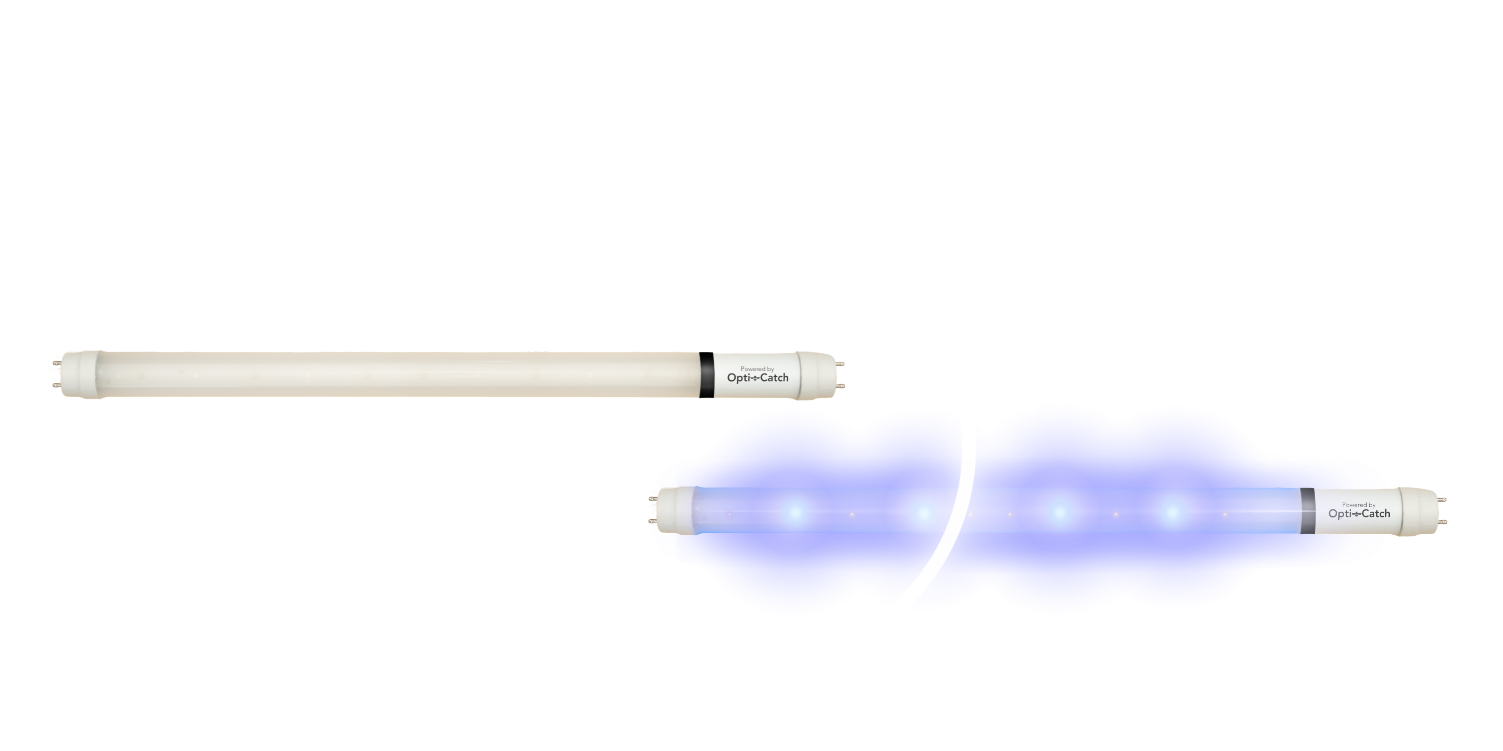 Ring of light with bulbs in the middle