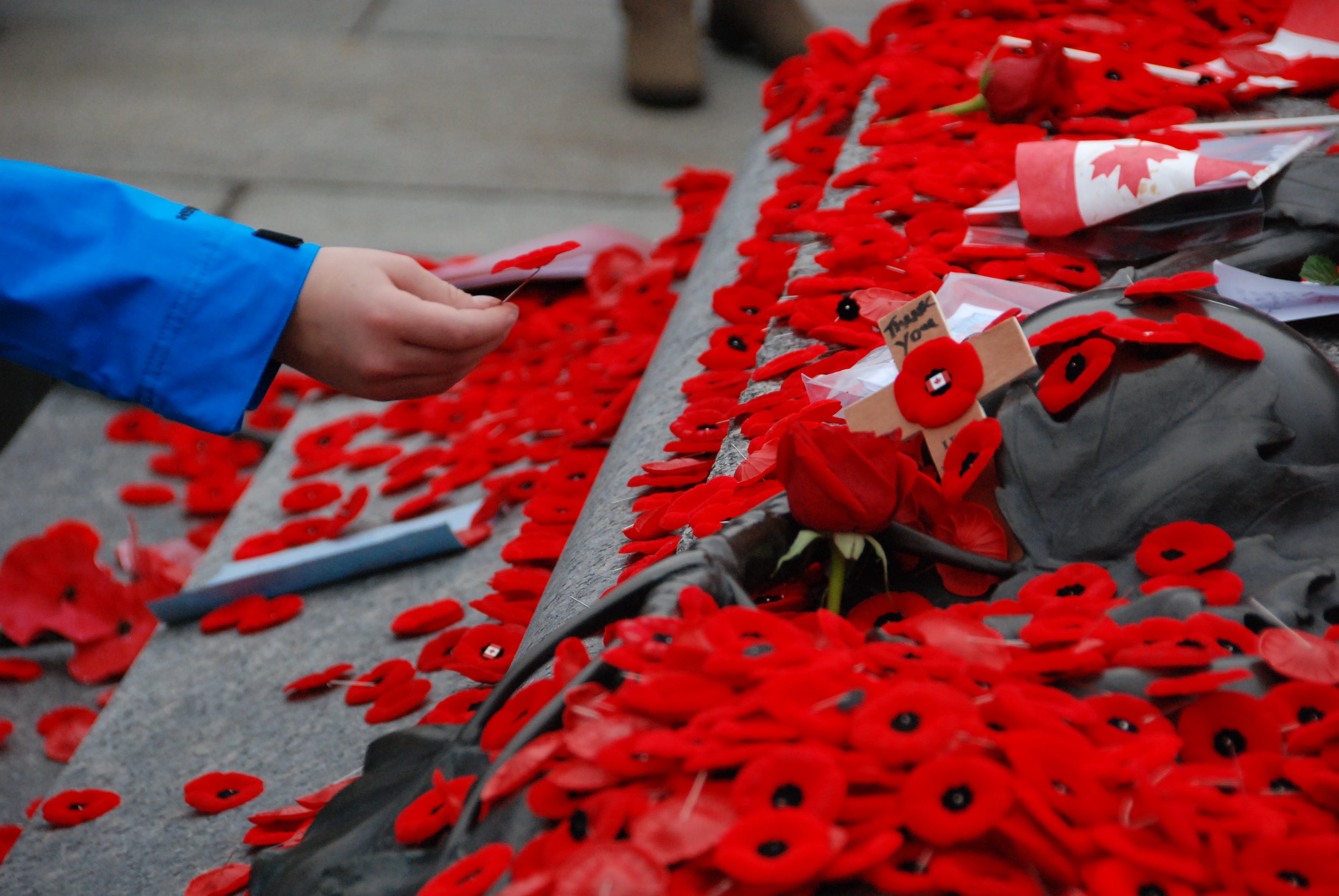 Poppy being laid at memorial