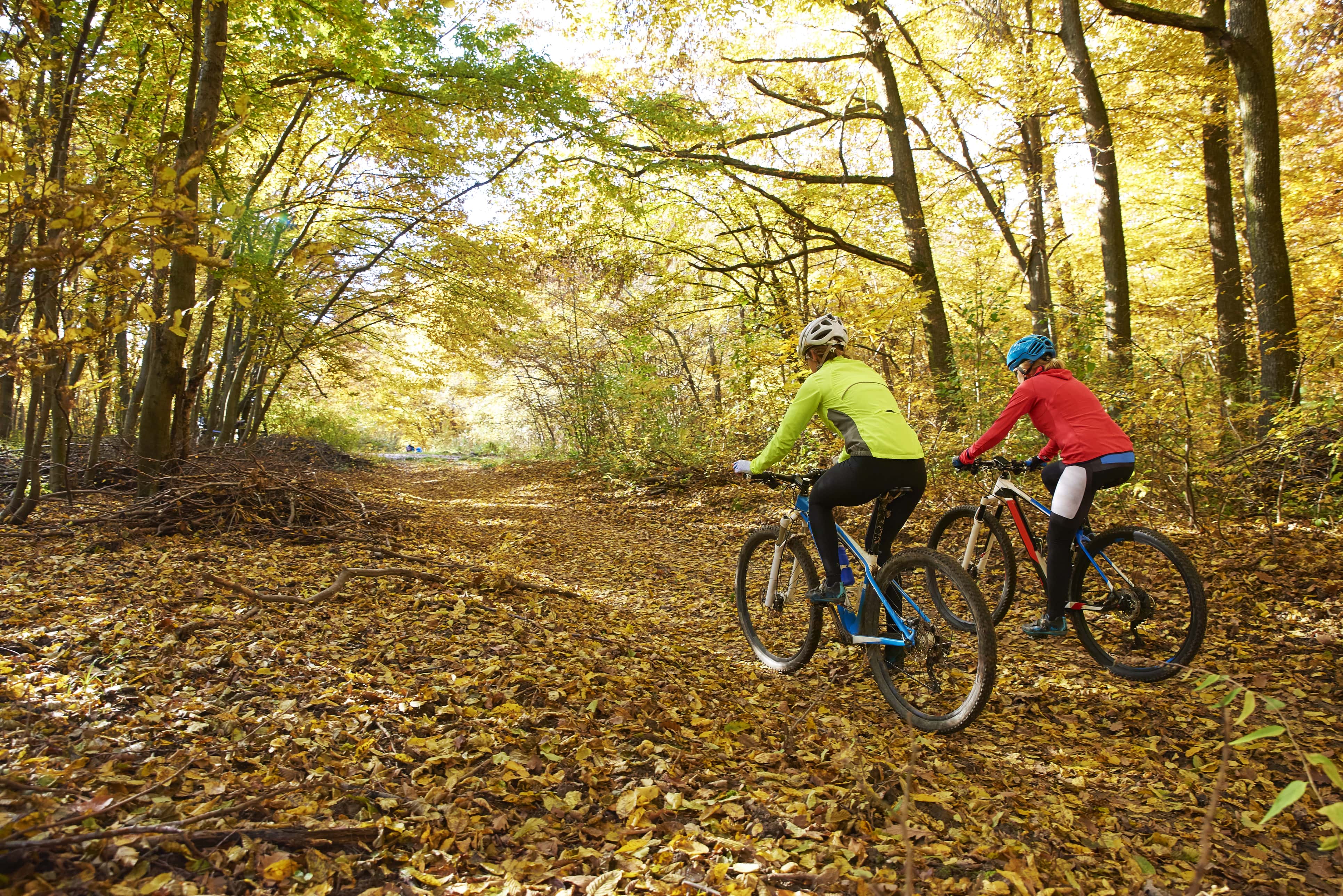 Cyclists biking through trail