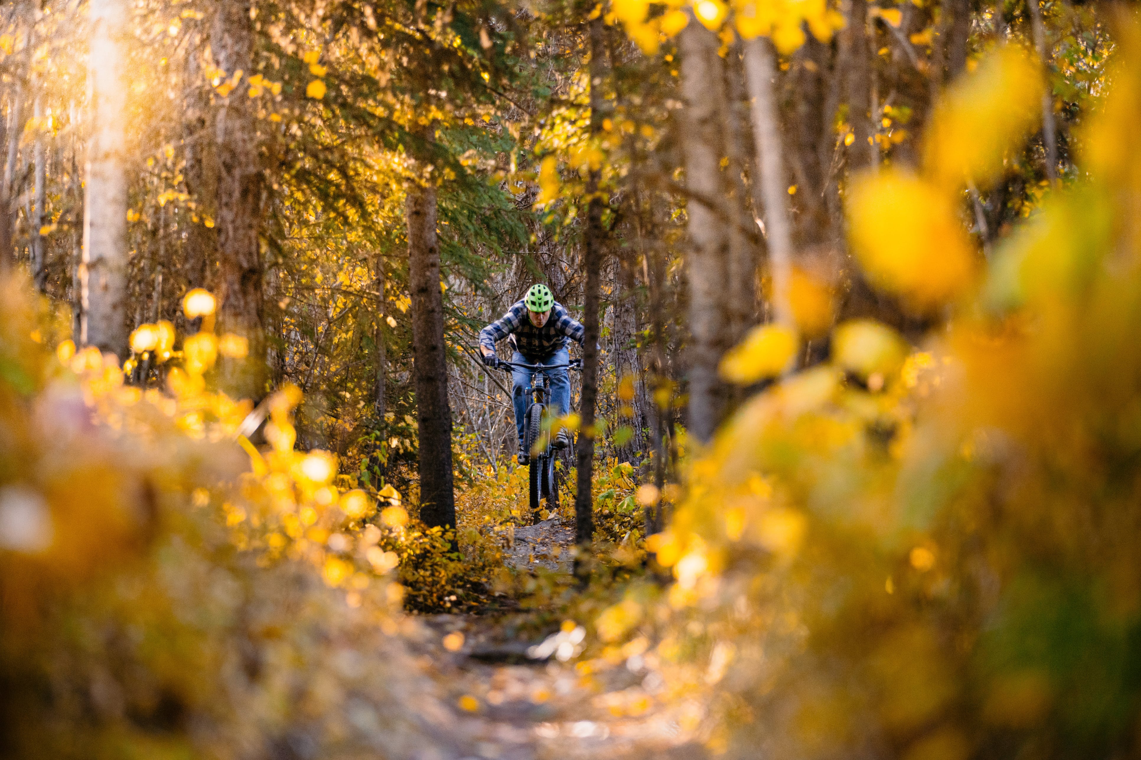 Cyclist biking through forest