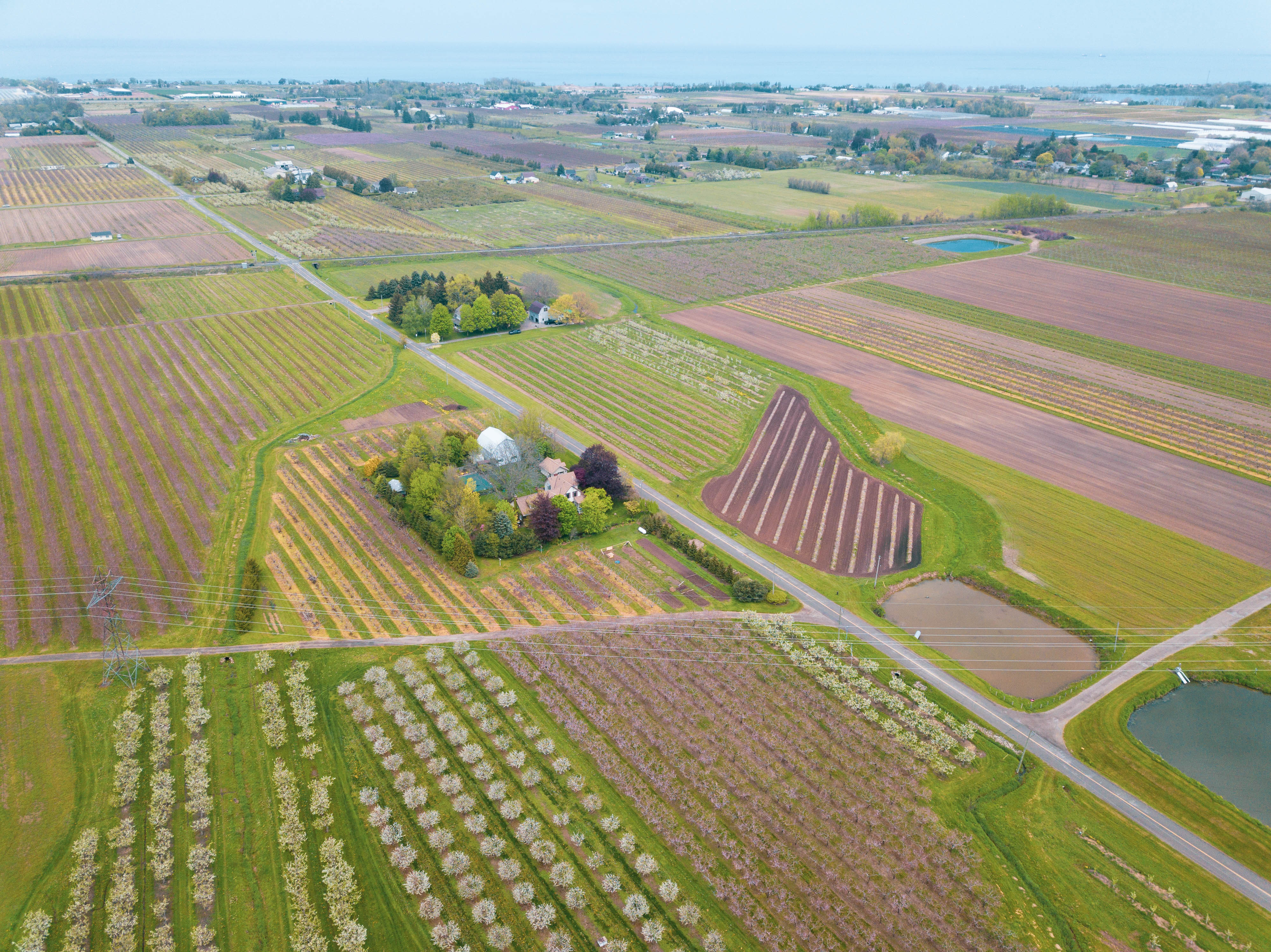 Aerial of wineries