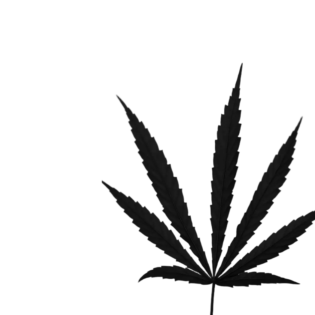 Кейс SEO-продвижения Johemp