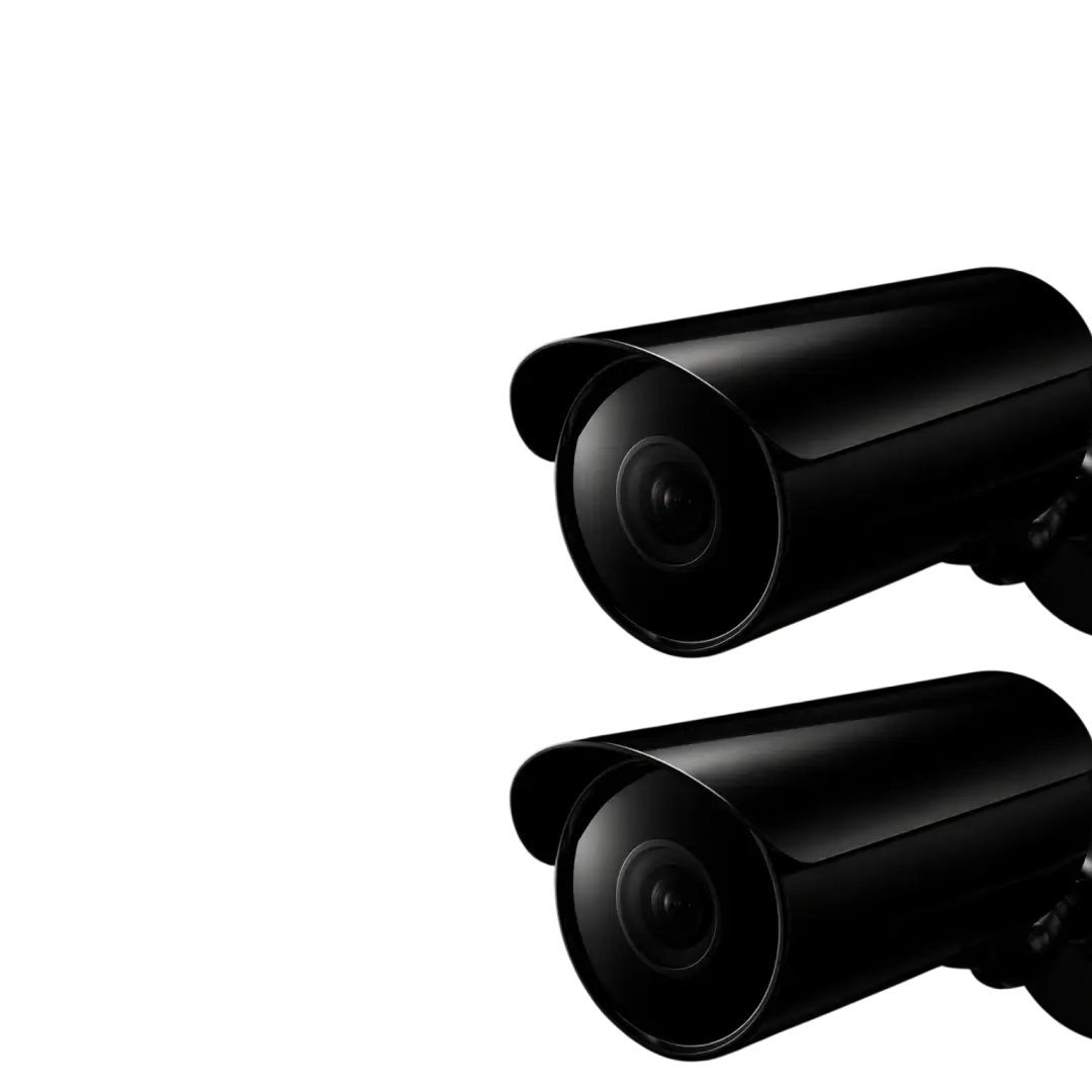 Кейс SEO-продвижения Oib