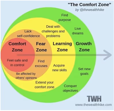 the comfort zone internal image