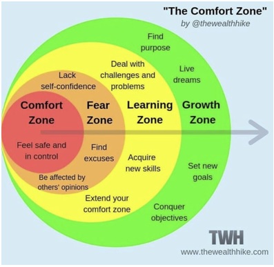 the comfort zone internal image