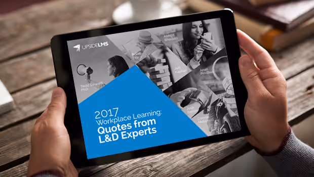 2017 Workplace Learning: Quotes from L&D Experts (Presentation)