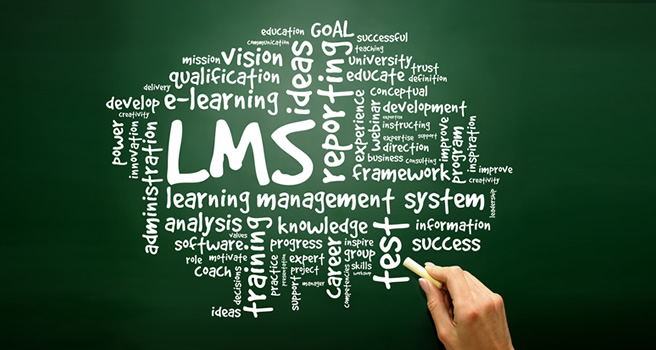 Training Companies and LMS
