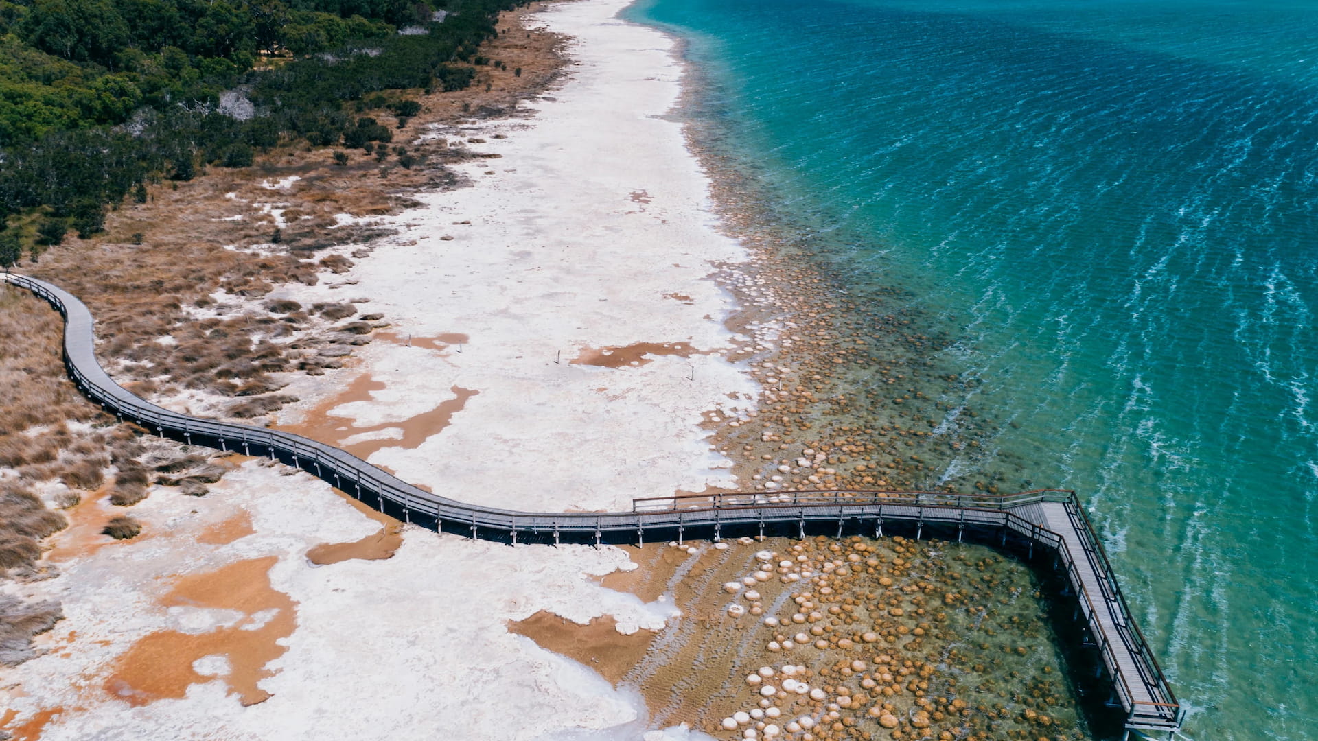 LAKE CLIFTON THROMBOLITES