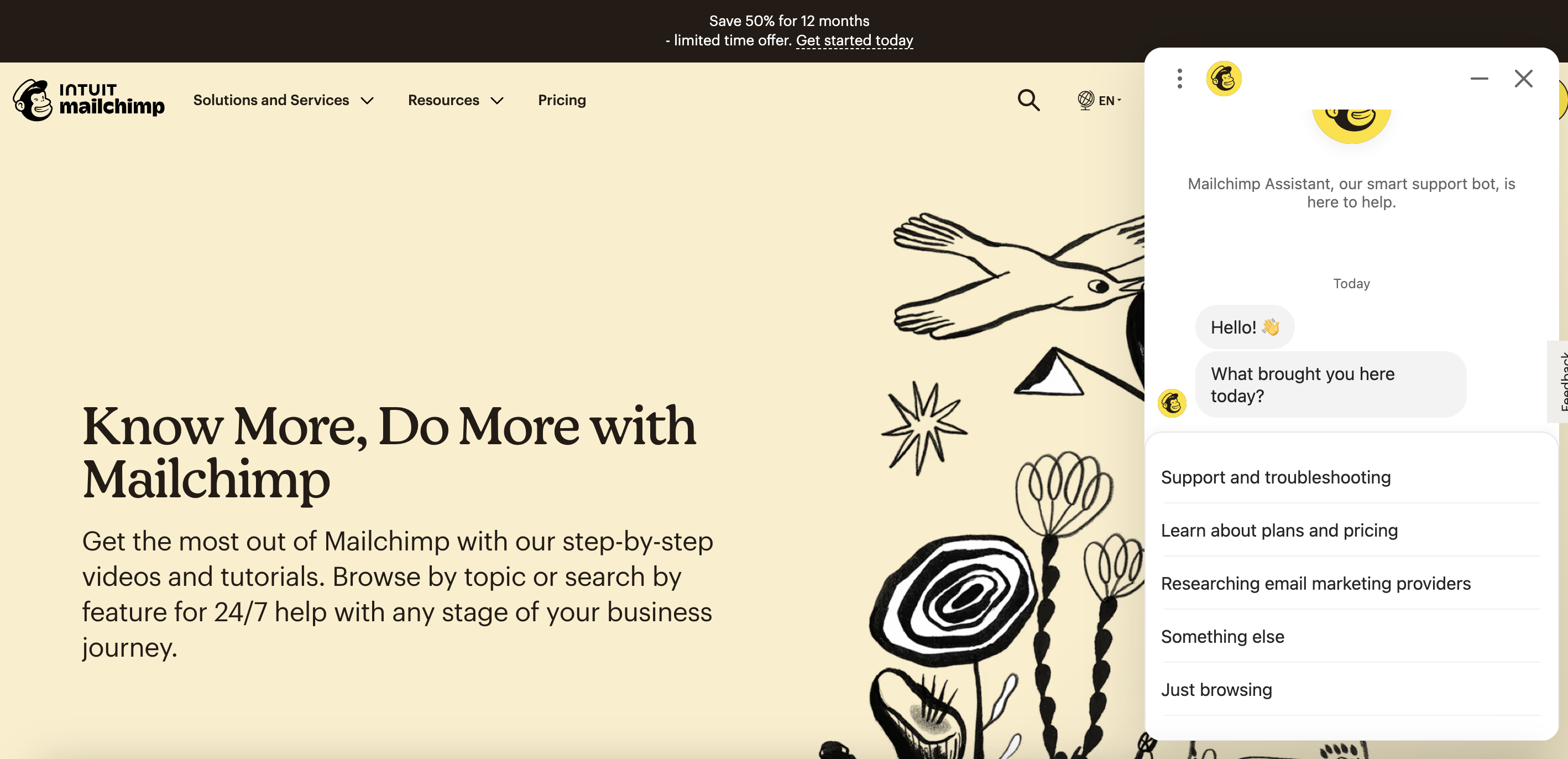 mailchimp saas customer support