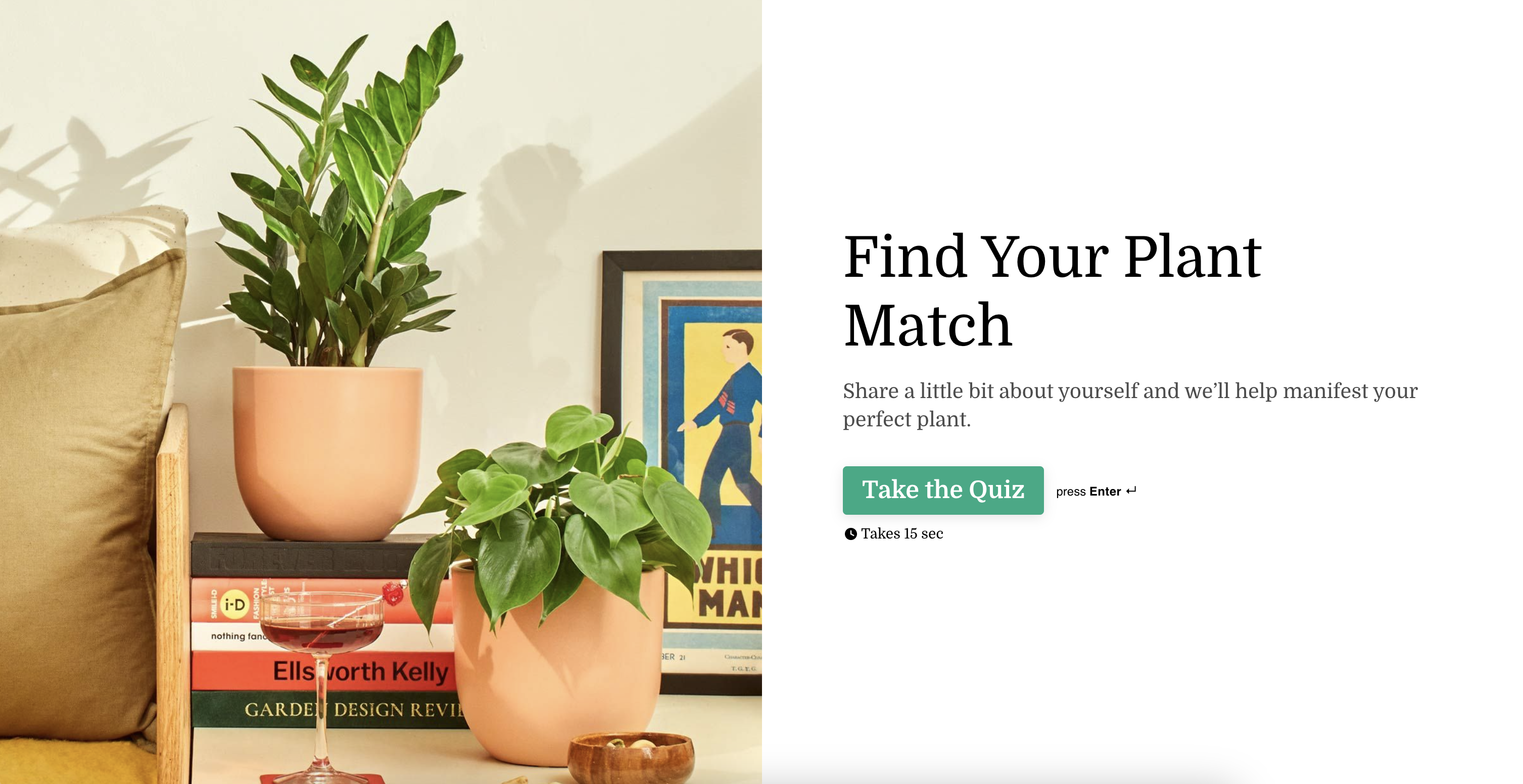 Product Recommendation Quiz_The Sill