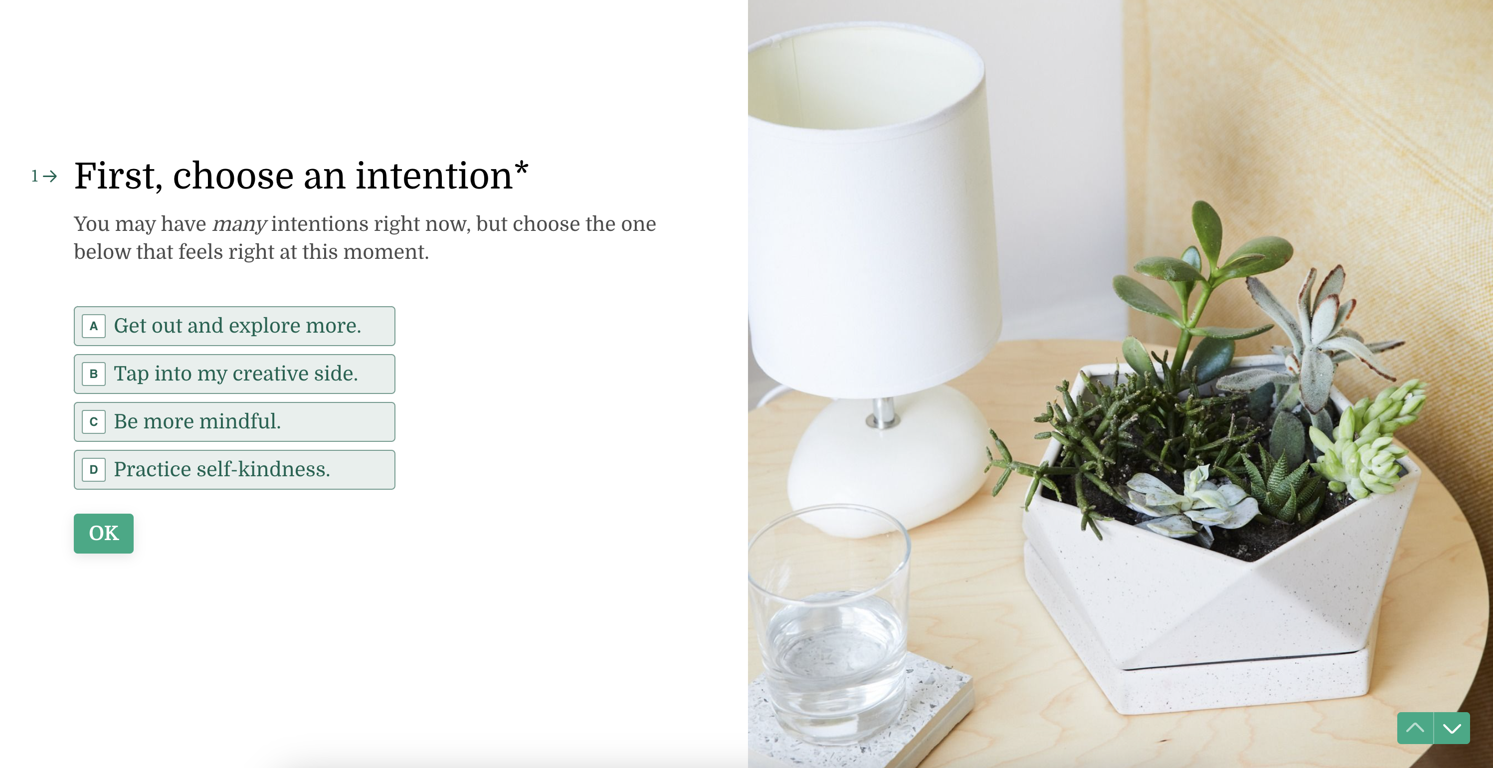 Product Recommendation Quiz_The Sill