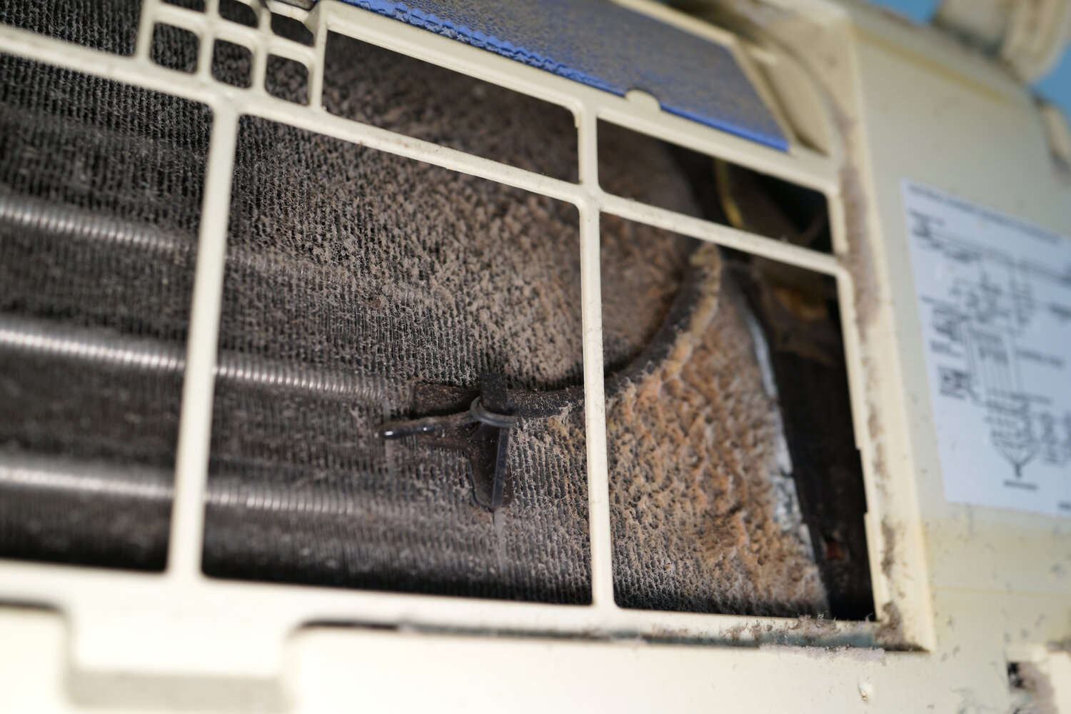 Why Your Leesburg Home Has Musty Odors After Using The AC