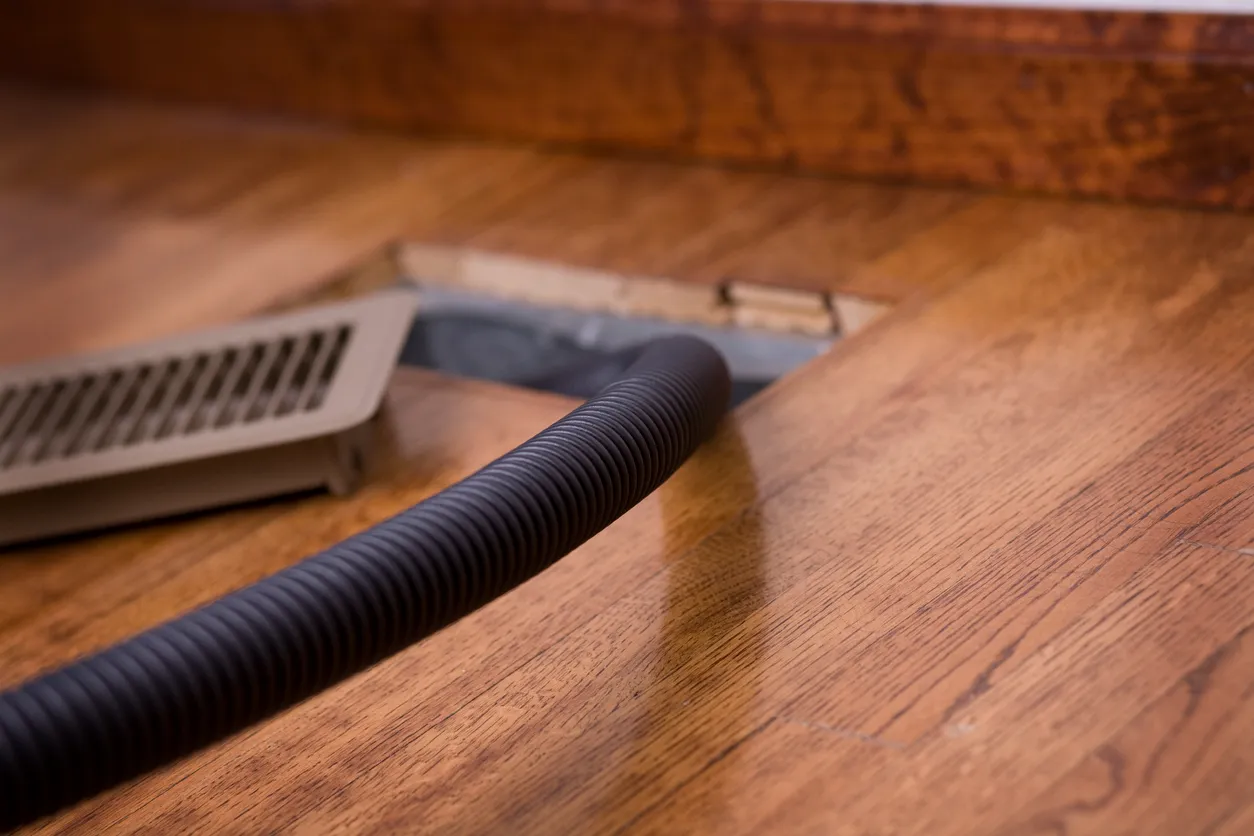 A close-up of a vacuum hose cleaning a dusty air vent on a hardwood floor