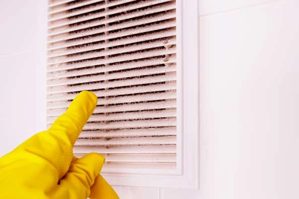 Professional AC Duct Cleaning in Yalaha, FL