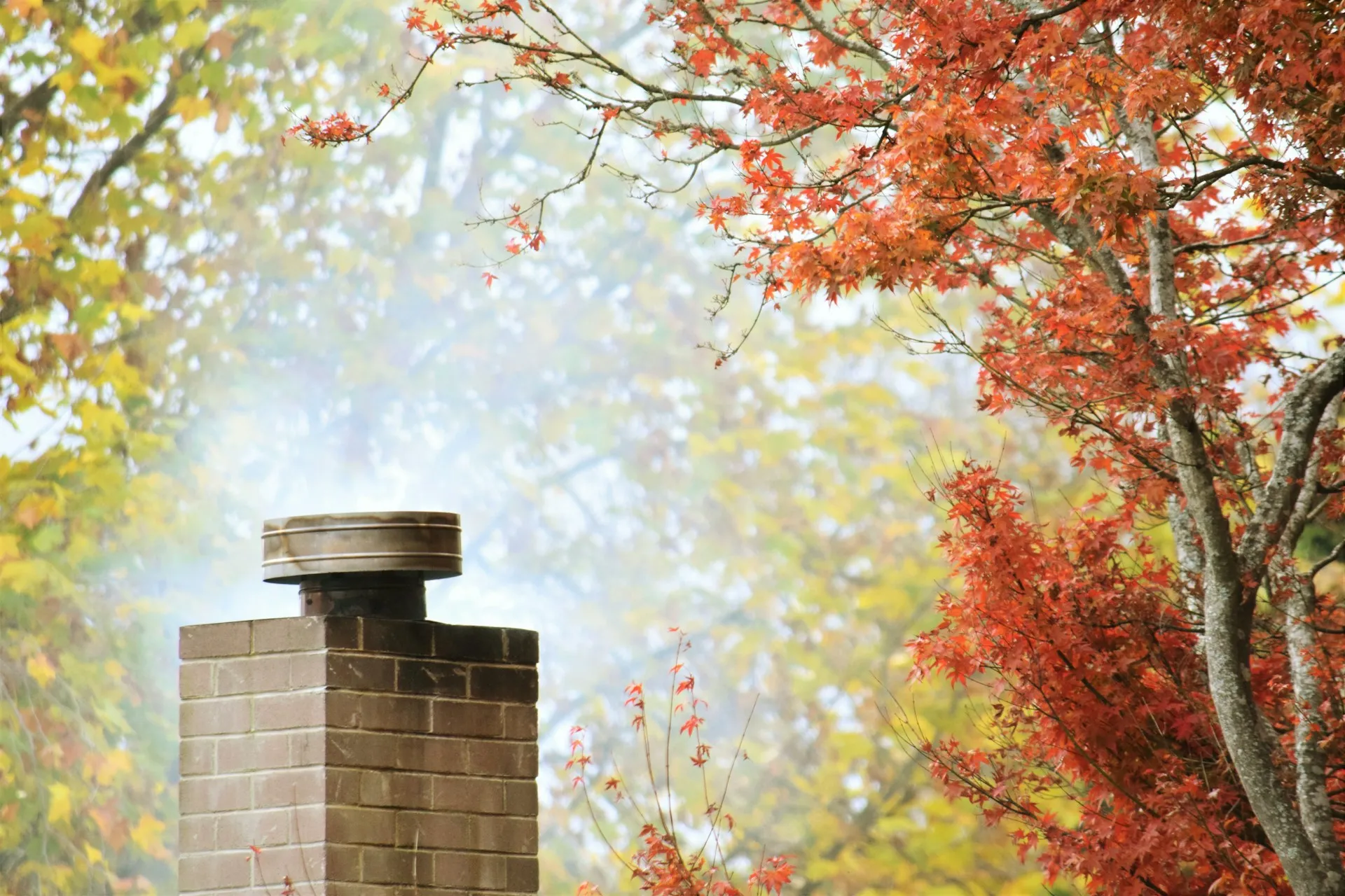 Top Reasons to Schedule Regular Chimney Cleaning