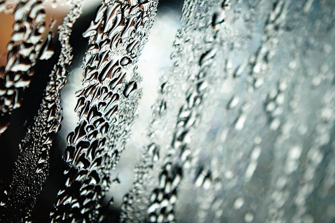 Everything You Need to Know About How Your AC Removes Moisture