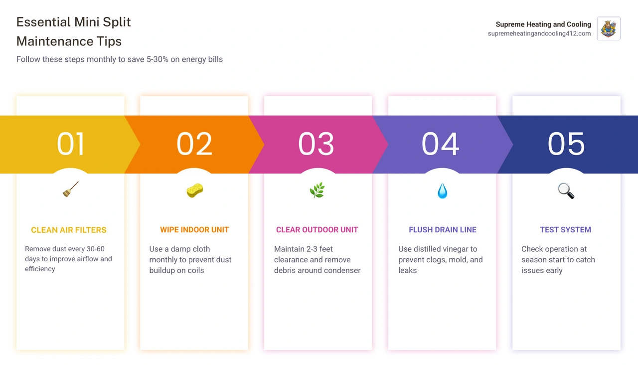 Infographic showing 5 key mini split maintenance tips and 5-30% energy savings from proper upkeep infographic Infographic showing 5 key mini split maintenance tips and 5-30% energy savings from proper upkeep infographic