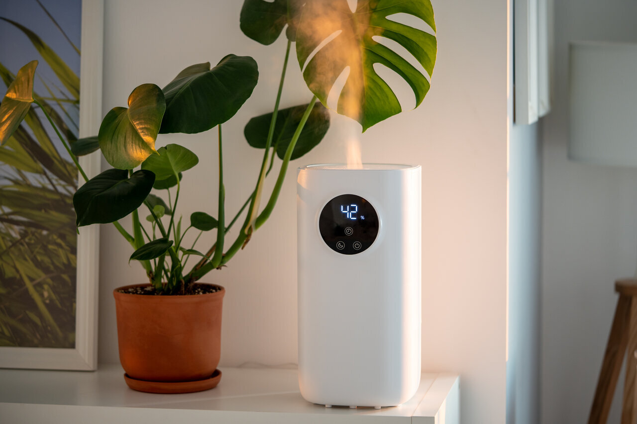 How to Enhance Air Quality and Reduce Allergens in Oakmont Homes