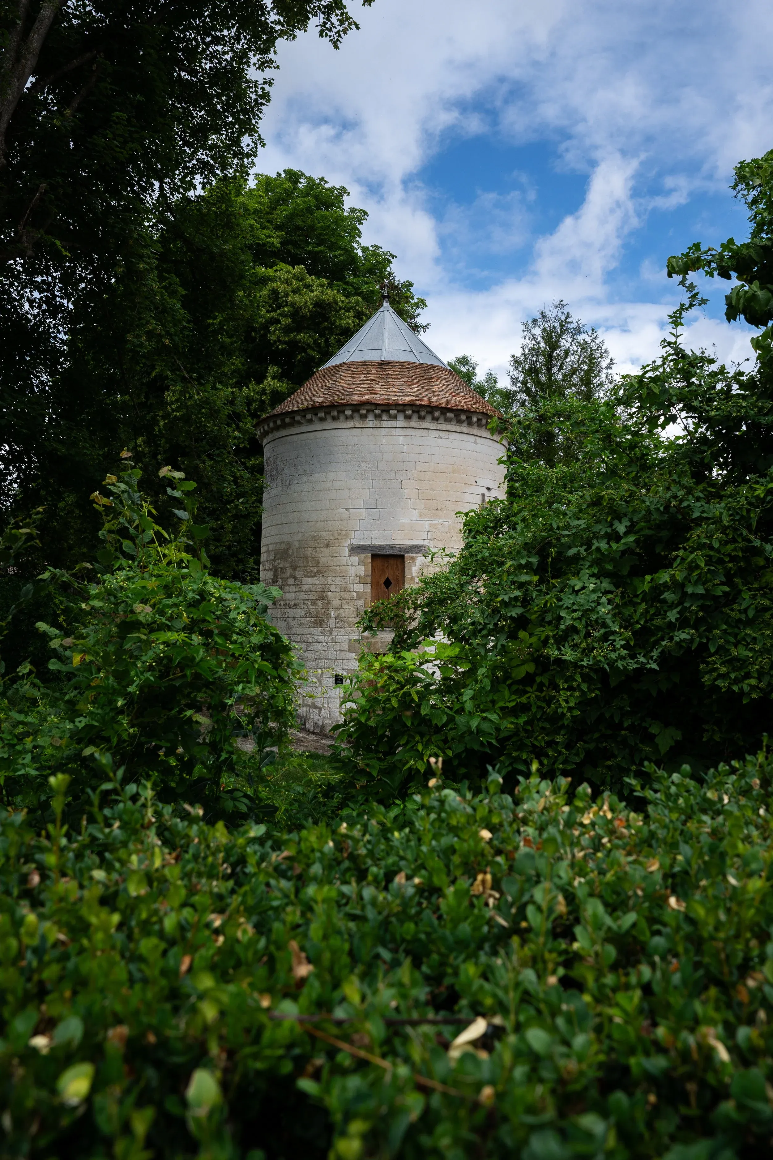 Photos mariage naturelles Reims couple Alice Thomas photographe emotions