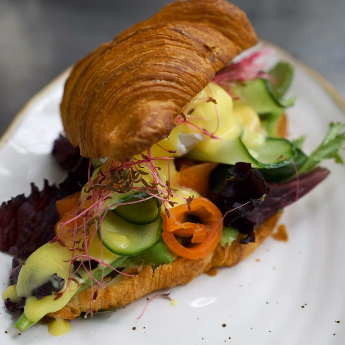 Salmon Croissant