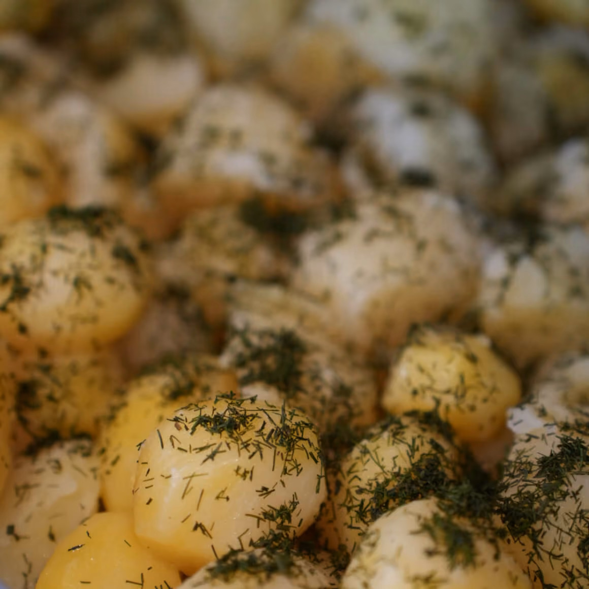  Young Potato with Dill