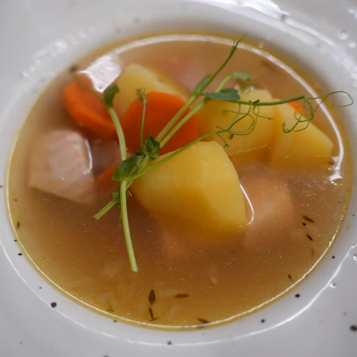 Fish Soup